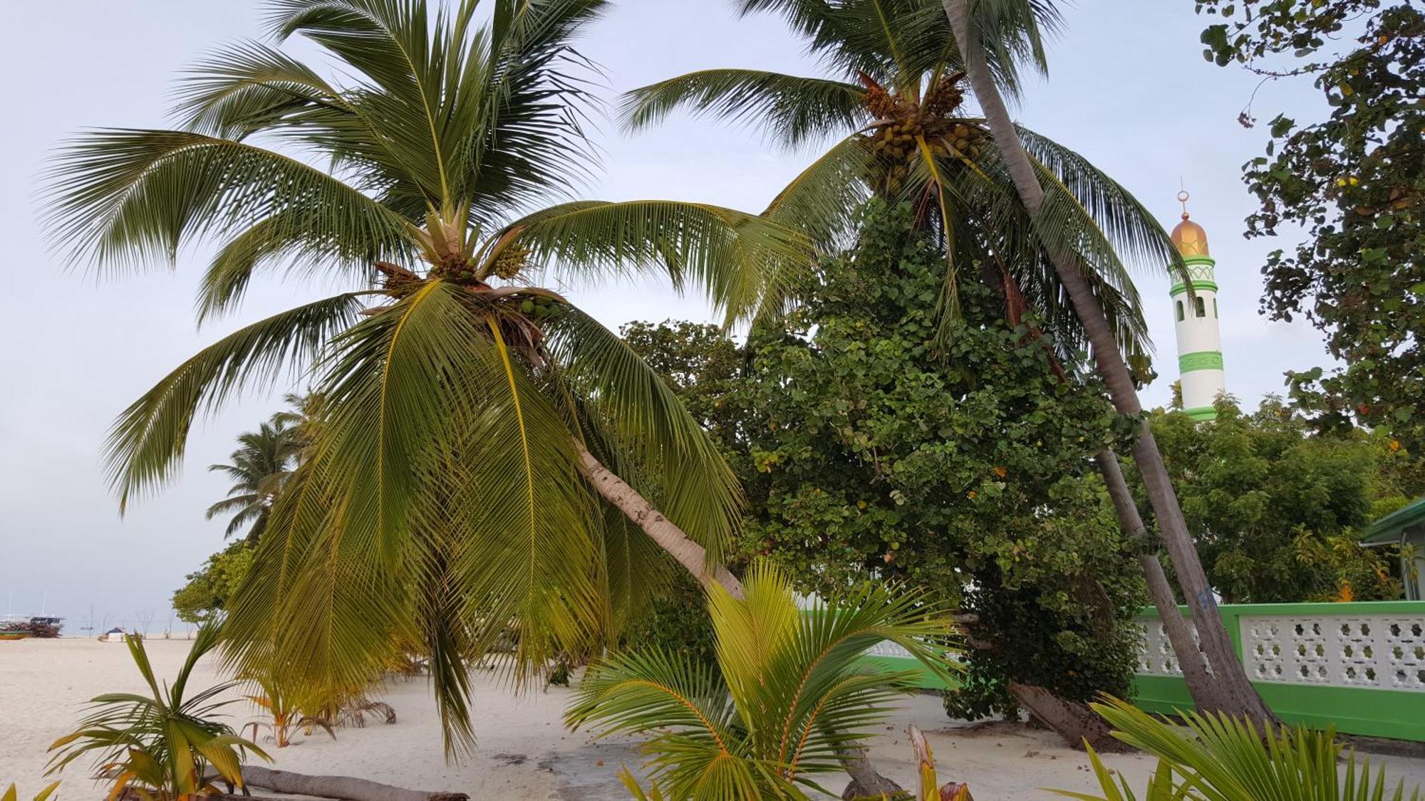 Kinan Retreat Hotel Fulidhoo Eksteriør billede