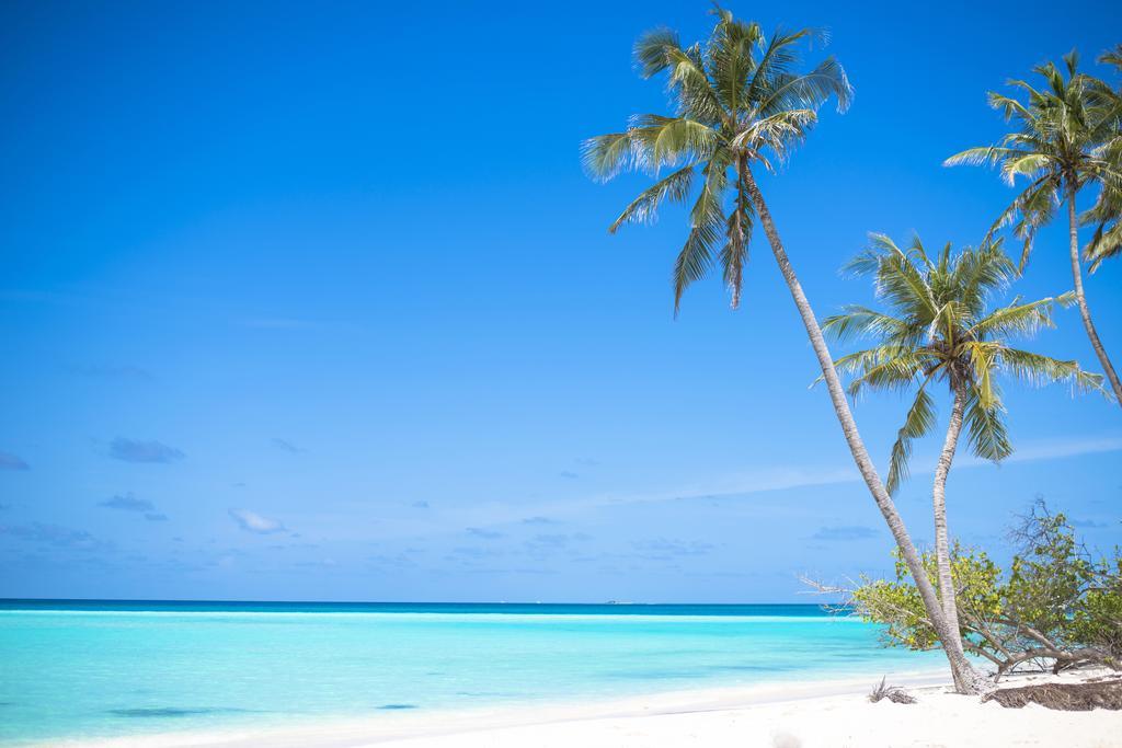 Kinan Retreat Hotel Fulidhoo Eksteriør billede